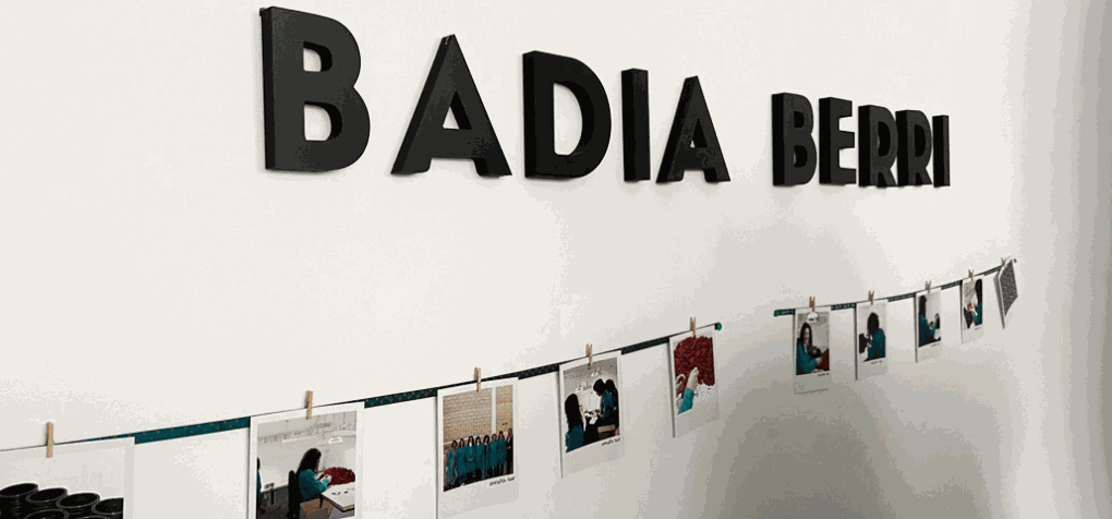 Odoo • Imagen y texto